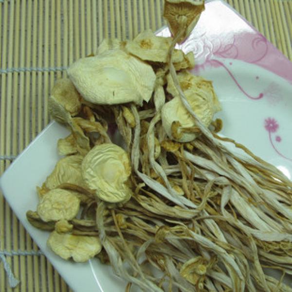 烧肉炖汤料干货金针菇