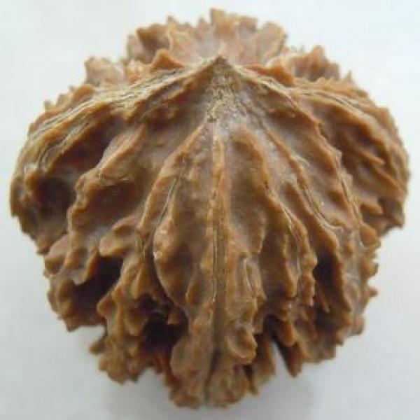 文玩核桃精选货矮桩灯笼