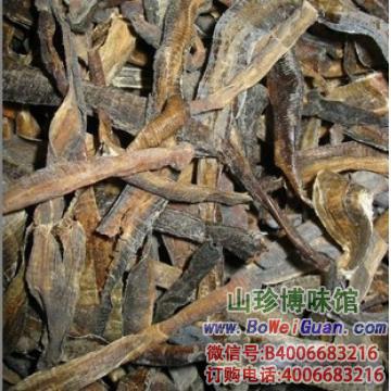 地龙的功效与作用