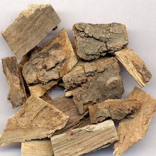 海桐皮干刺桐海桐树皮