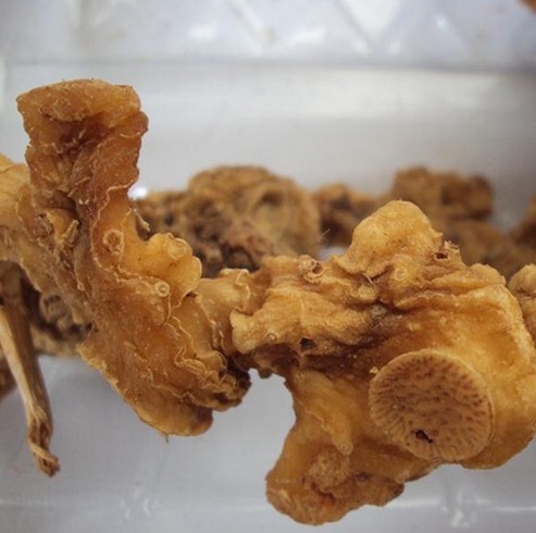 精选生晒黄精片野生黄精