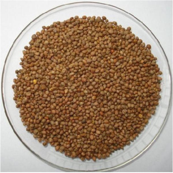 炒熟菜头子干精选莱菔子