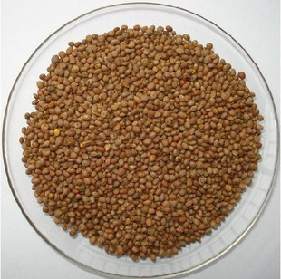 炒熟菜头子干精选莱菔子