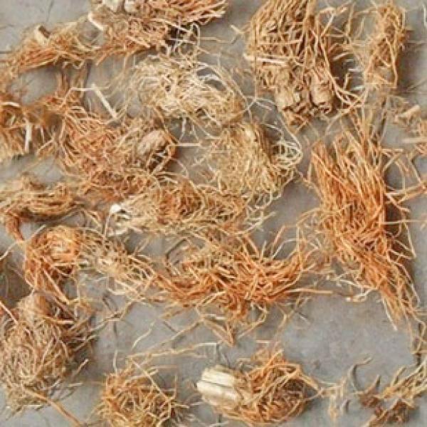糯稻根新货糯稻须精选优质糯根