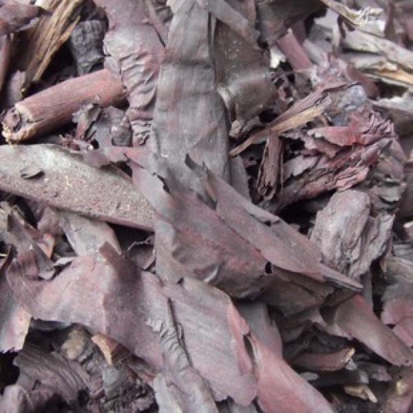 硬紫草干草野生硬紫草