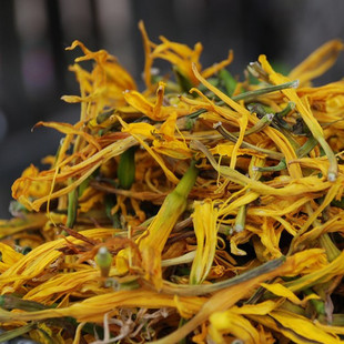 野生黄花菜萱草金针菜