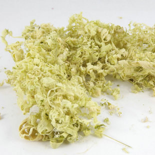 精选竹茹竹皮丝条淡竹茹