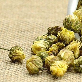 桐乡杭白菊茶胎菊杭白菊