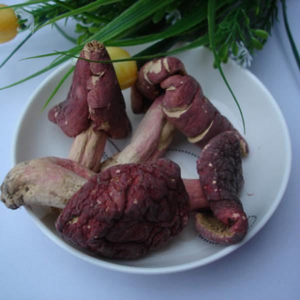 红蘑菇统货野生红蘑菇