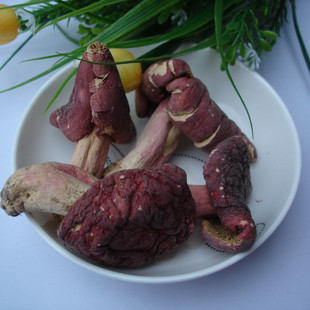 红蘑菇统货野生红蘑菇