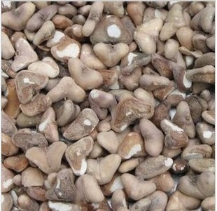 微山湖菱角米野生菱角米