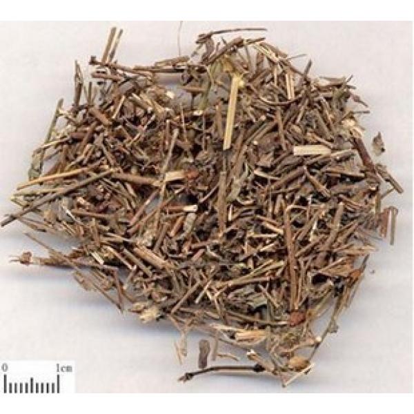 满天星 路边姜 天星木