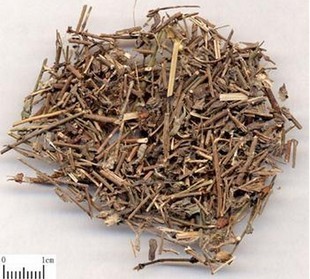 满天星 路边姜 天星木