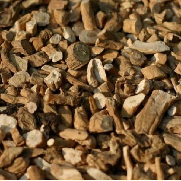 板篮根野生板蓝根片