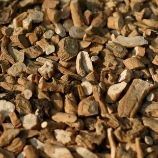 板篮根野生板蓝根片