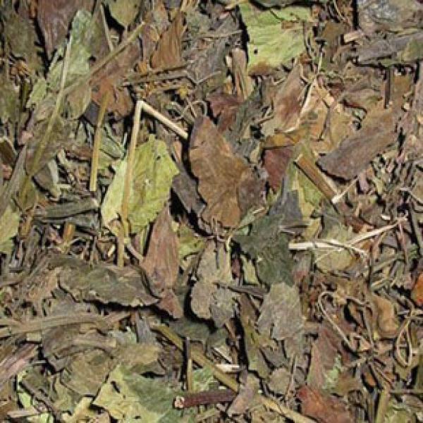 石见穿精选正宗石打穿