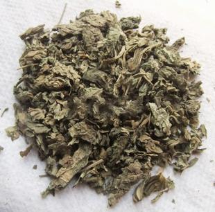 精选正宗特级冬葵苗叶