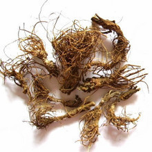 野生地胆头苦胆草鞋根