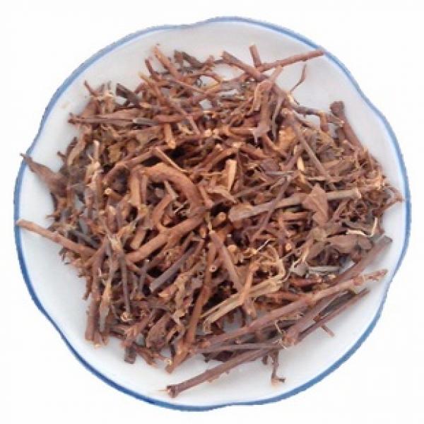 正宗牛鞭草牛筋草扁竹