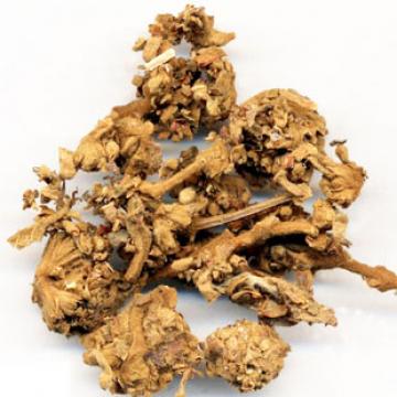 密蒙花优质正宗老蒙花