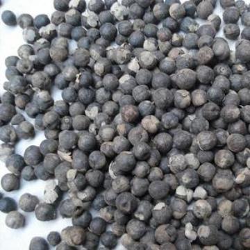 蔓荆子精选优质蔓荆子