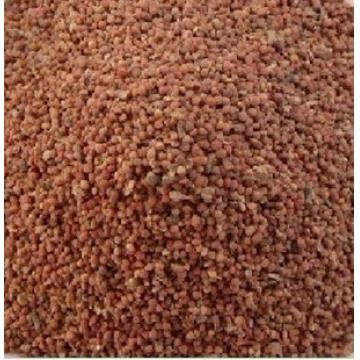 正宗野生褚实米角树子