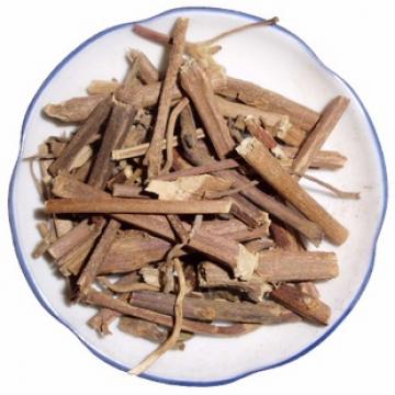 精选藿香海藿香正宗广藿香