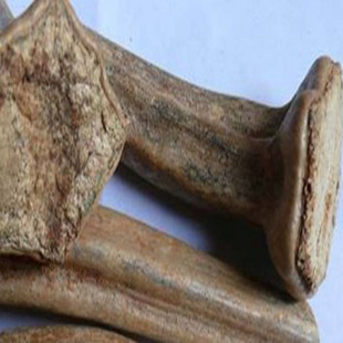 南瓜藤 番瓜藤 南瓜蒂