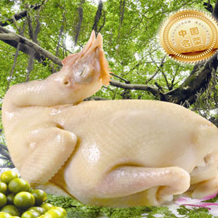 正宗海南牧榕文昌嫩鸡