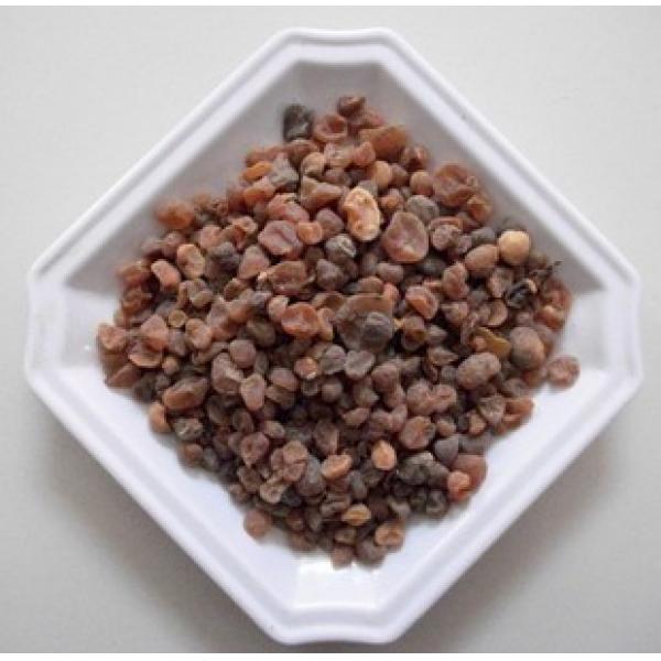 精选土贝母大贝母干品