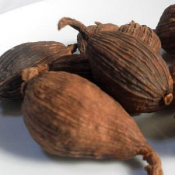 草果火锅调味料卤菜草果