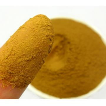 大黄粉纯正大黄粉细磨大黄细粉