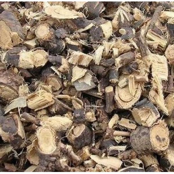 金雀根土黄芪阳雀花根