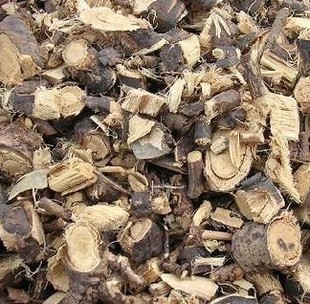 金雀根土黄芪阳雀花根