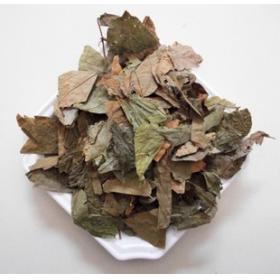 精选正宗野生破麻布叶