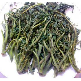 香椿咸菜优质香椿野菜香椿芽菜
