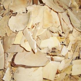 正宗白背根野生白背根