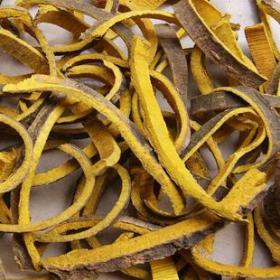 川黄柏 关黄柏 炒黄柏