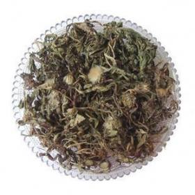 精选优质正宗紫花地丁