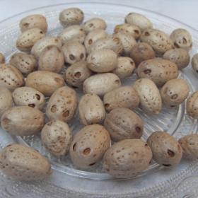 南酸枣 五眼果 化郎果