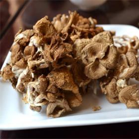 斑玉蕈白玉菇玉龙真姬蘑菇