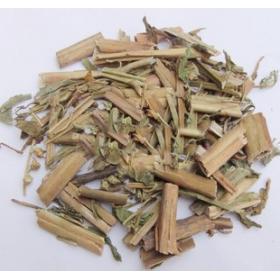 扯根菜 赶黄草 水泽兰