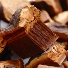 无柄灵芝野生赤芝赤灵芝