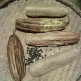 丝瓜络丝瓜布丝瓜筋络