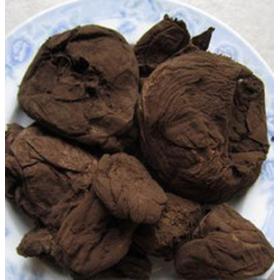 人头菌牛屎菌地烟马勃