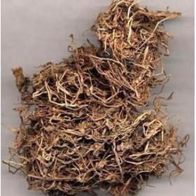 半边莲半边菊金菊草本