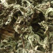 蓟菜干小蓟野青刺蓟菜