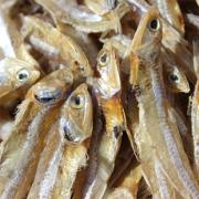 新鲜小燕鱼晒干小燕鱼干