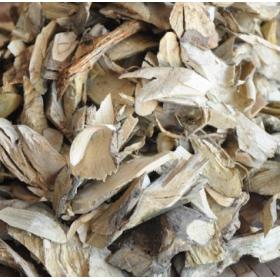 云南毛冬青根野生毛冬青根