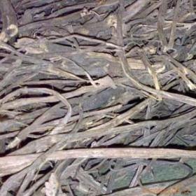 卤料合香排香草广霍香